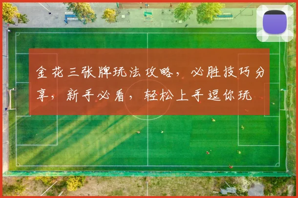 金花三张牌玩法攻略，必胜技巧分享，新手必看，轻松上手逗你玩