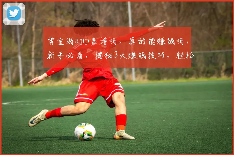 赏金游app靠谱吗，真的能赚钱吗，新手必看，揭秘3大赚钱技巧，轻松月入过万