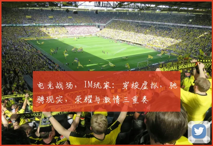 电竞战场，IM玩家：穿梭虚拟，驰骋现实，荣耀与激情三重奏