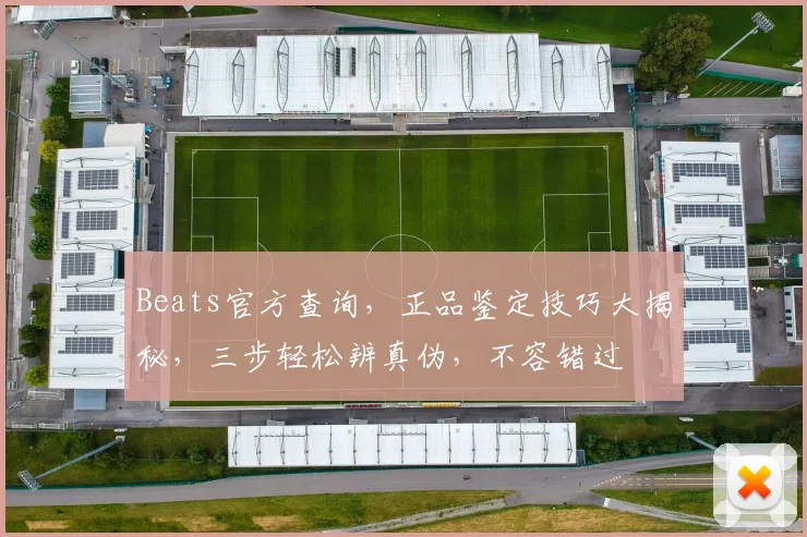 Beats官方查询，正品鉴定技巧大揭秘，三步轻松辨真伪，不容错过
